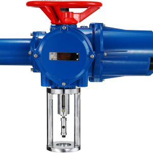 Multi-turn electric actuator